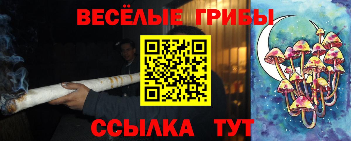 купить закладку  Псилоцибиновые грибы Psilocybe  Вход с VPN  Рязань 